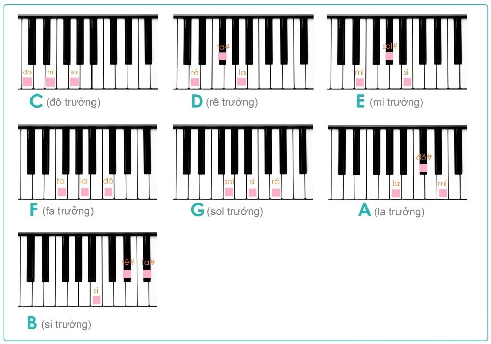 Hop-am-Truong-Hop-am-Piano-co-ban