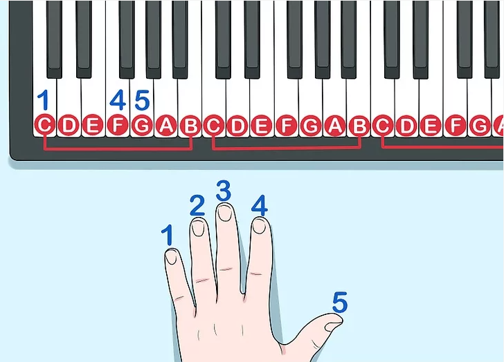 Mastering the Bassline on Piano for Beginners and Intermediates